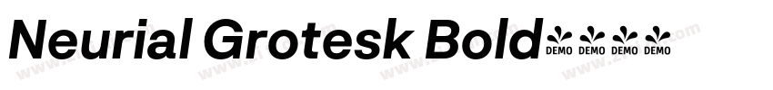 Neurial Grotesk Bold字体转换